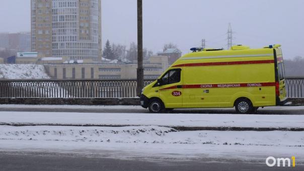 Почти 1,5 тысячи омичей ежедневно вызывали скорую на новогодних каникулах
