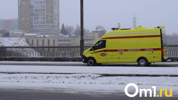 Почти 1,5 тысячи омичей ежедневно вызывали скорую на новогодних каникулах