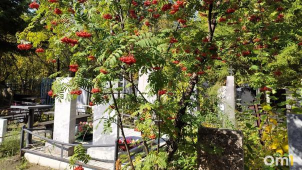 Новосибирцам запретят ездить на личных машинах по трём городским кладбищам. Карты