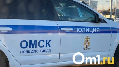 В Омской области водитель пассажирского автобуса сбил пенсионера и скрылся