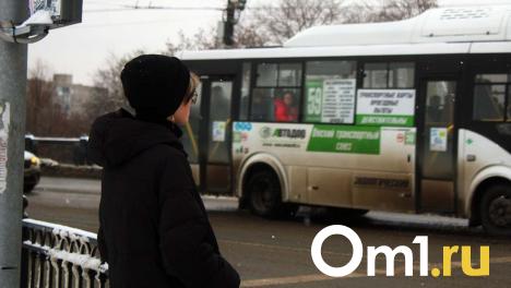 Частные перевозчики заявили об отсутствии нужных автобусов для обслуживания маршрутов в Омске