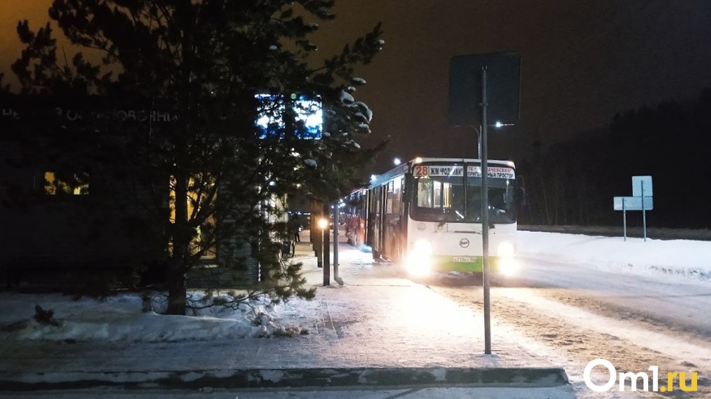 Автобус сломался на трассе под Новосибирском из-за мороза