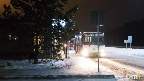 Автобус сломался на трассе под Новосибирском из-за мороза