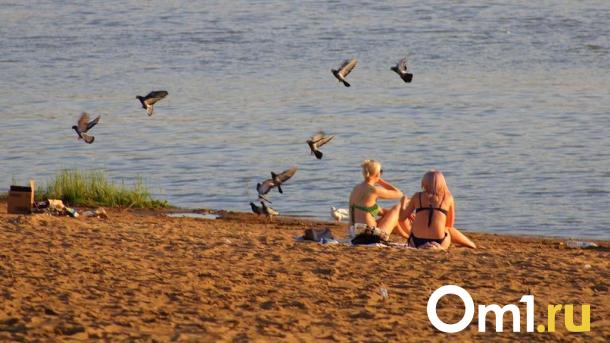 В Омске в ходе реконструкции пляжа поставят 100-метровую лавку