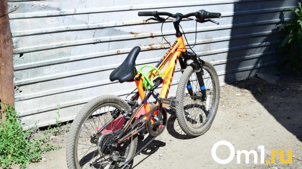 В Омске дерево поймало и травмировало велокурьера