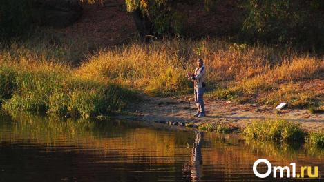 В Омской области пострадавшим от дождей выдадут по 15 тысяч рублей