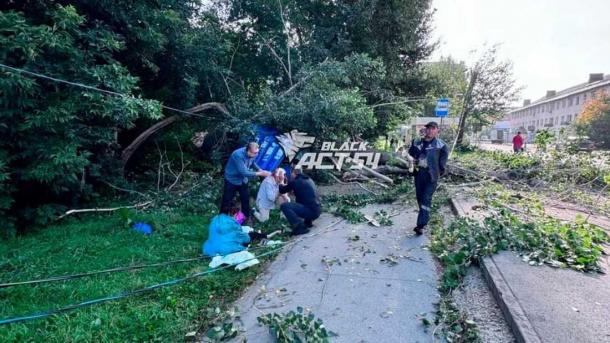 Тополь рухнул на остановку в Новосибирске: пострадали три человека
