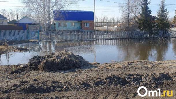 В Омской области увеличилось количество подтопленных домов