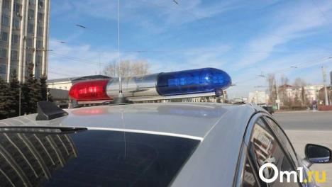 В Омске сотрудники ДПС помогли ребёнку, упавшему с лестницы: чем закончилась история?