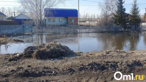 Трое жителей Омской области покинули подтопленные дома