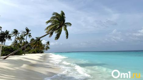 В Омске директор турфирмы собирал с людей миллионы, чтобы отправить их на курорты. И не отправлял