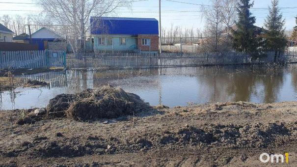 В МЧС рассказали о ситуации с подтопленными домами в Омской области