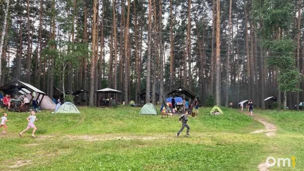 В Омской области клещи покусали уже больше четырёх тысяч человек