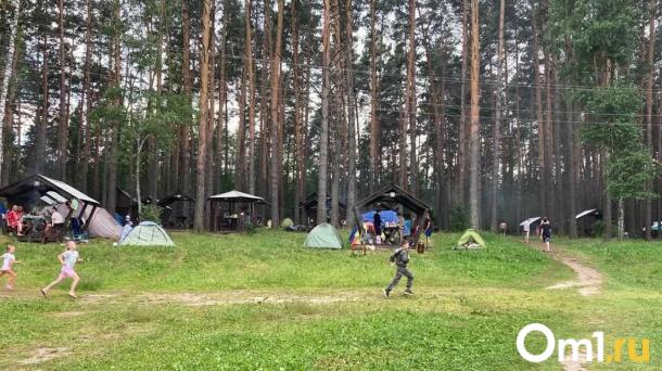 В Омской области клещи покусали уже больше четырёх тысяч человек