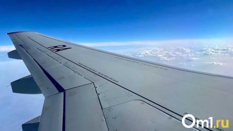Омича застали за аморальным поступком в туалете самолёта из Санкт-Петербурга