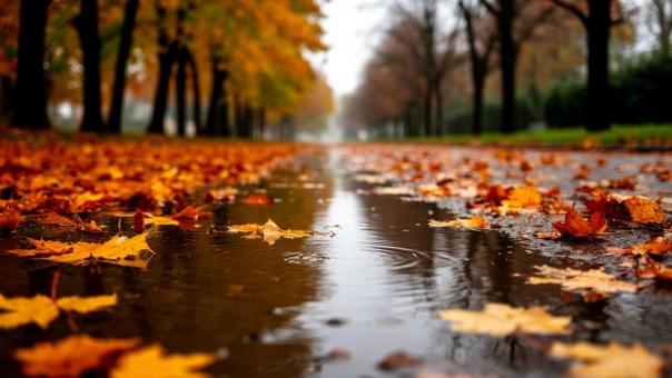 Москва: последние выходные лета без дождя, +18°