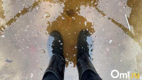 МЧС: в Омской области оказались затоплены более 280 участков