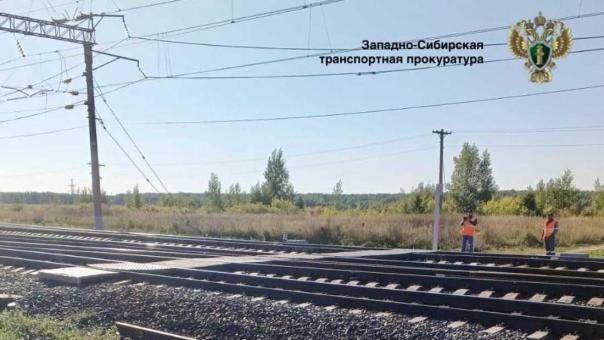 Поезд насмерть сбил 83-летнюю пенсионерку в Новосибирской области