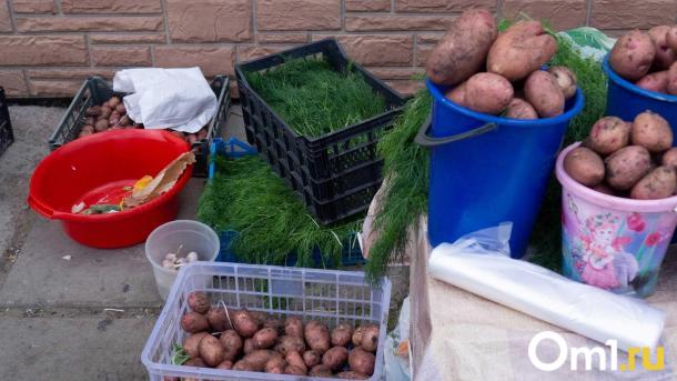 Картошки не хватит? В Минсельхозе рассказали, как переувлажнение почвы повлияет на урожай