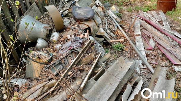 «Это реально помойка» — место под остановку в Омске превратилось в свалку