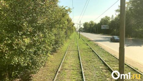 На месте бывшей рощи у СибНИИСхоза хотят построить блокированные дома