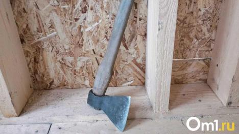 Приговор за жестокость: житель Омской области убил собаку топором