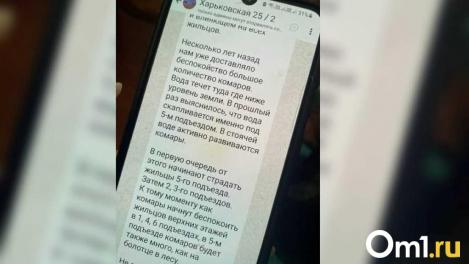 «Назойливые кровососы»: жильцов омской многоэтажки атаковали комары