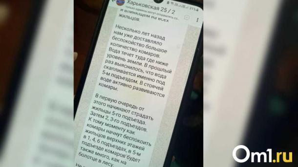 «Назойливые кровососы»: жильцов омской многоэтажки атаковали комары