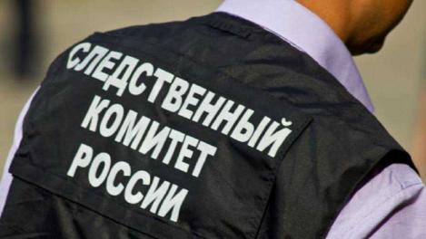 Бастрыкин потребовал отчёт по делу многодетной матери из Омска