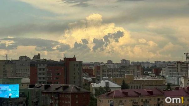 Ужасающую находку обнаружили сотрудники Омскводоканала в насосной станции