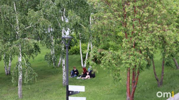 «Лето в цвете»: в Омске пройдёт открытый городской пикник