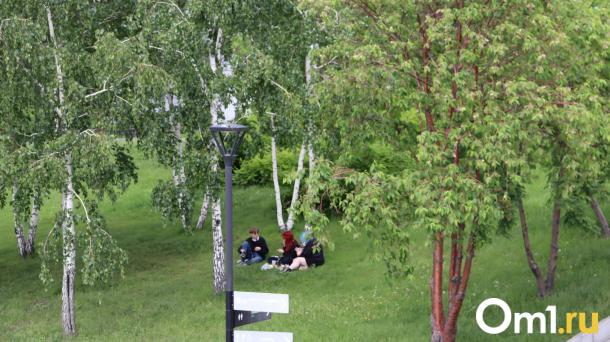 «Лето в цвете»: в Омске пройдёт открытый городской пикник