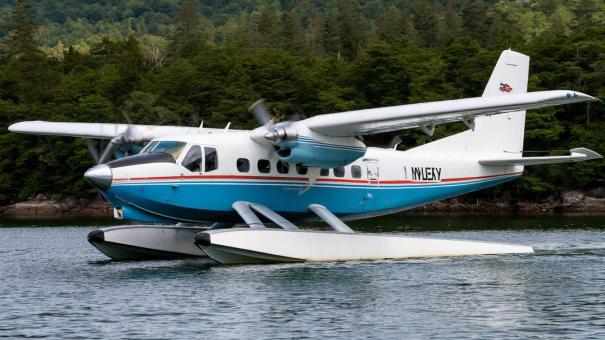 Самолет-амфибия Че-24 сел на воду в Бердском заливе