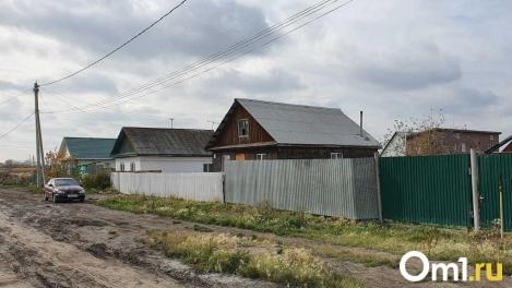 Даёшь программу доинтернетизации! Размышления омича, которые вы не сможете найти в сети, если сети нет