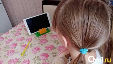 Юной омичке, которая получала чужие долги, отказали в замене СНИЛС