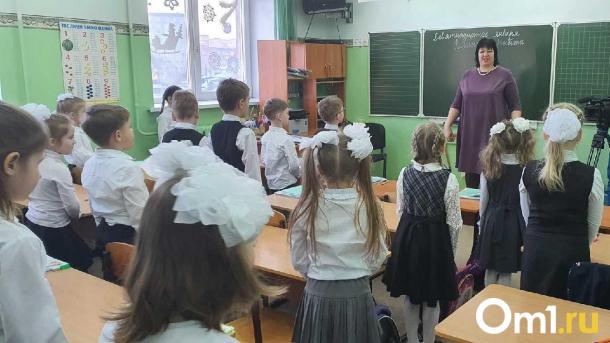 Омские школы без обществознания: что ждет детей с 1 сентября?