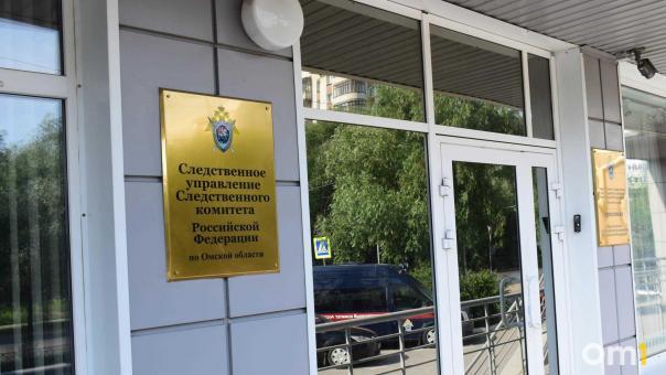 Бастрыкин поручил разобраться в долгах у 9-летней омички