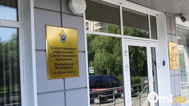 Бастрыкин поручил разобраться в долгах у 9-летней омички