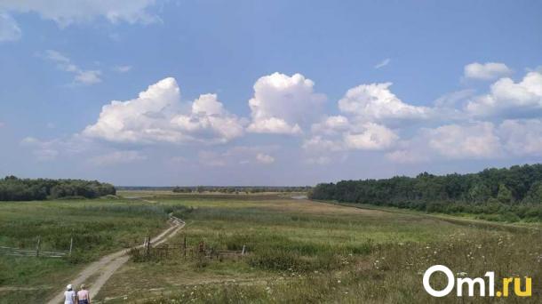 Переувлажнение почвы: ещё в одном районе Омской области ввели режим ЧС