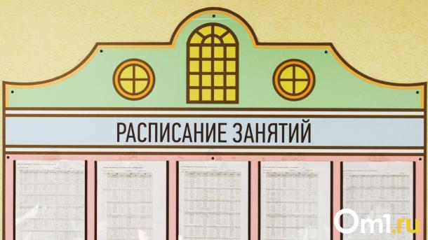 В омских школах появится новый предмет. Что на нём будут изучать?
