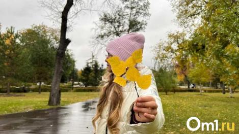 Зонты брать? Появился официальный прогноз погоды на 1 сентября в Омске