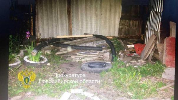 Отец предстанет перед судом за смерть дочери в Новосибирске