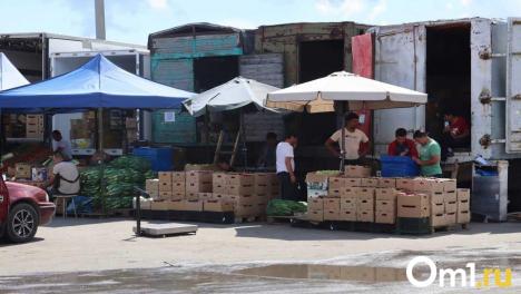 Омич поплатился за то, что привёз себе незаконных мигрантов