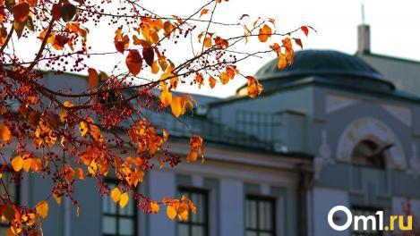 Бабье лето уже здесь: на новой неделе в Омск придёт потепление