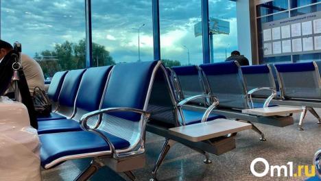 Огромные задержки в Толмачёво: сразу 38 самолётов прилетают с опозданием