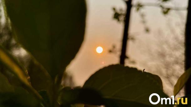 Омск накроет космической волной: когда ударит магнитная буря и кому достанется сильнее