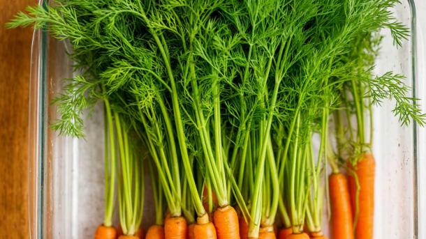 Секреты хранения урожая от эксперта: как сохранить свежесть на 90 дней