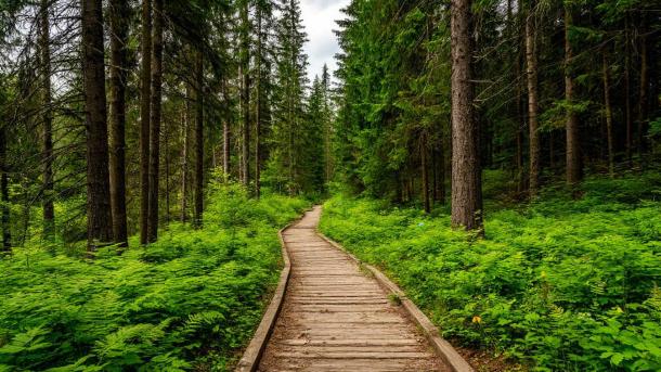 Осеннее Подмосковье: 7 мест для идеальных фото