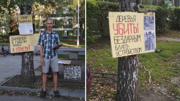 Аллея в новосибирском Академгородке стала мертвым лесом за 5 лет