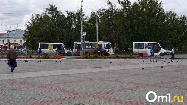 Куда делась вафельная разметка: почему в Омске от неё отказались?